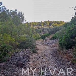 Prostrano poljoprivredno zemljište na Korčuli