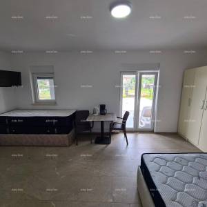 Pula! Kuća s 15 soba i s bazenom! Lokacija Veli vrh.