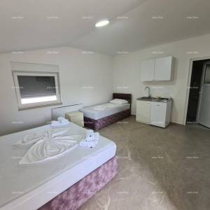 Pula! Kuća s 15 soba i s bazenom! Lokacija Veli vrh.