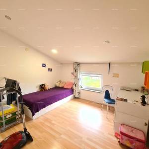 Pula Šišan. Kuća s poslovnim prostorom!