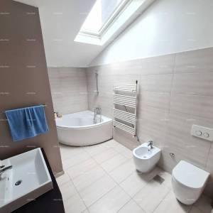 Pula Šišan. Kuća s poslovnim prostorom!