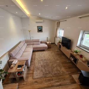 Pula Šišan. Kuća s poslovnim prostorom!