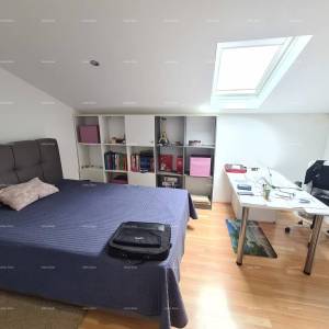 Pula Šišan. Kuća s poslovnim prostorom!