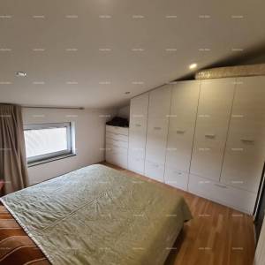 Pula Šišan. Kuća s poslovnim prostorom!