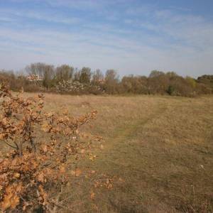 PULA - Velika parcela za gradnju obiteljske kuće ili vile