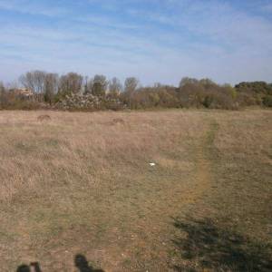 PULA - Velika parcela za gradnju obiteljske kuće ili vile