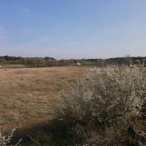 PULA - Velika parcela za gradnju obiteljske kuće ili vile