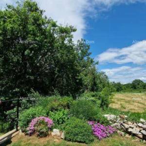 Renovirana istarska kamena kuća s bazenom