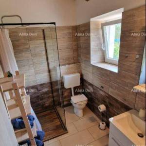 Renovirana istarska kamena kuća s bazenom