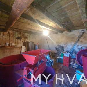 Skrivena kuća u Svirču