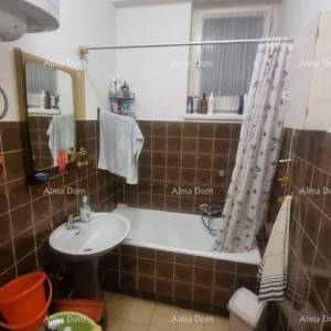 Stan u centru Umaga. Čisto vlasništvo.