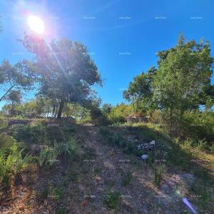 Stancija kod Vodnjana! Veliki teren 7154 M2!!