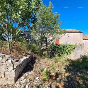 Stancija kod Vodnjana! Veliki teren 7154 M2!!