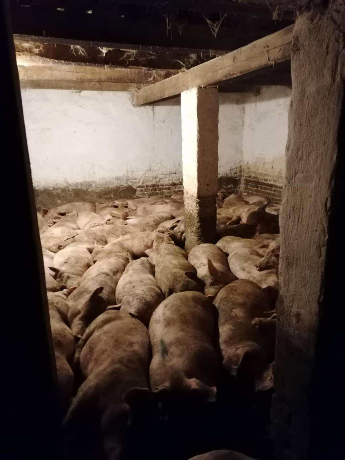 Suhomesnati Proizvodi