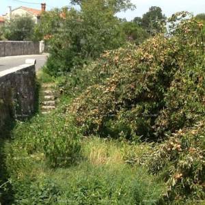 Sveti Petar u Šumi, kuća i zemljište