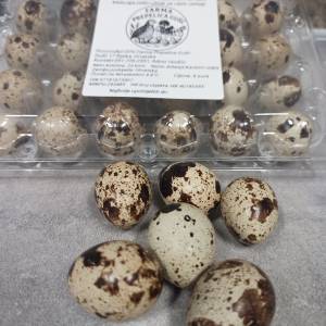 Svježa prepeličja jaja