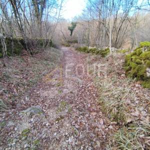 Viškovo, Saršoni, poljoprivredno zemljište 6.029m2