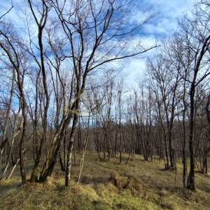 Viškovo, Saršoni, poljoprivredno zemljište 6.029m2