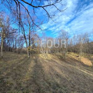 Viškovo, Saršoni, poljoprivredno zemljište 6.029m2