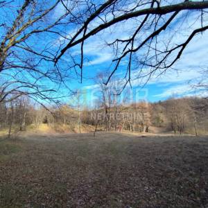 Viškovo, Saršoni, poljoprivredno zemljište 6.029m2