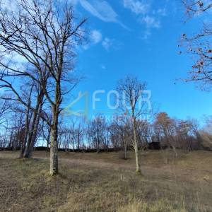 Viškovo, Saršoni, poljoprivredno zemljište 6.029m2