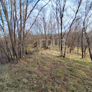 Viškovo, Saršoni, poljoprivredno zemljište 6.029m2