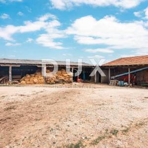 VRGINMOST, BLATUŠA - Veliko imanje, farma s mehanizacijom i životinjama, 40 hektara zemljišta!