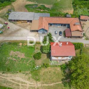 VRGINMOST, BLATUŠA - Veliko imanje, farma s mehanizacijom i životinjama! 40 hektara zemljišta!
