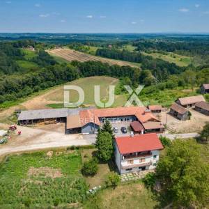 VRGINMOST, BLATUŠA - Veliko imanje, farma s mehanizacijom i životinjama! 40 hektara zemljišta!
