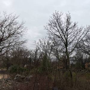 ZADAR, MASLENICA - Građevinsko zemljište 1260m² - na odličnoj lokaciji!