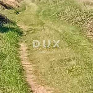 ZADAR, RAŠTANE DONJE - Poljoprivredno zemljište 5062 m2