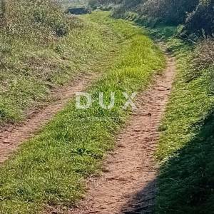 ZADAR, RAŠTANE DONJE - Poljoprivredno zemljište 5062 m2