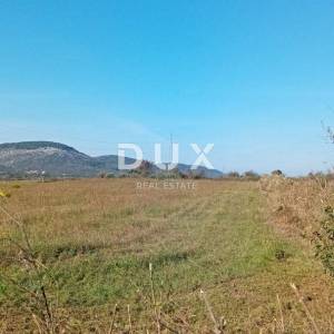 ZADAR, RAŠTANE DONJE - Poljoprivredno zemljište 5062 m2