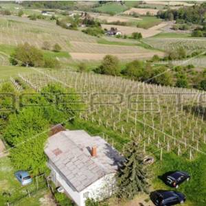 Železna Gora, Zemljište, 99.000,00 EUR