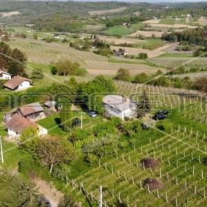 Železna Gora, Zemljište, 99.000,00 EUR