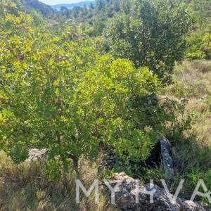 Zemljište s panoramskim pogledom i kućicom