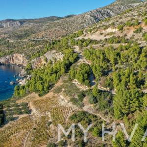 Zemljište sa projektom i pogledom na more﻿