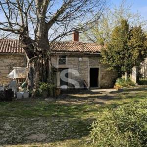 Autentična kamena kuća s konobom na prodaju