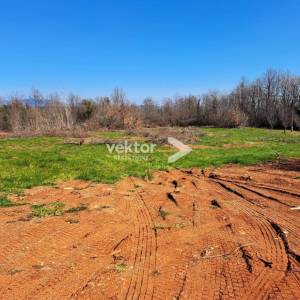 Barban, građevinsko zemljište 1.465m2