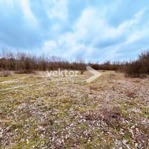 Barban, okolica, građevinsko zemljište 850m2