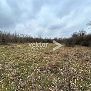 Barban, okolica, zemljište 970m2