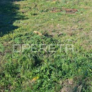 Bilice, Građevinsko zemljište 691m2