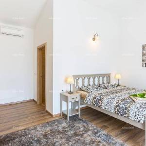 Blizina Barbana! Kuća s bazenom, saunom i jacuzijem!