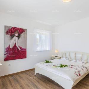 Blizina Barbana! Kuća s bazenom, saunom i jacuzijem!