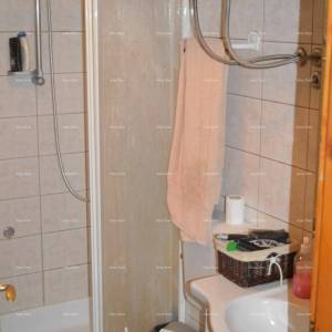 Blizina Marčane, kuća na velikom terenu od 26.000 m2.