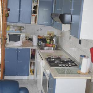 Blizina Marčane, kuća na velikom terenu od 26.000 m2.