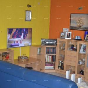 Blizina Marčane, kuća na velikom terenu od 26.000 m2.