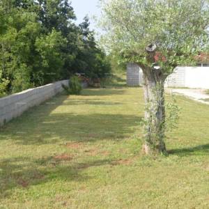 Blizina Marčane, kuća na velikom terenu od 26.000 m2.