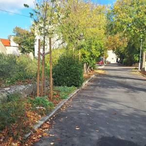 Brač, Nerežišća, građevno zemljište za prodaju,kmpletna infrastruktura