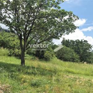 Bribir, građevinsko zemljište 700m2